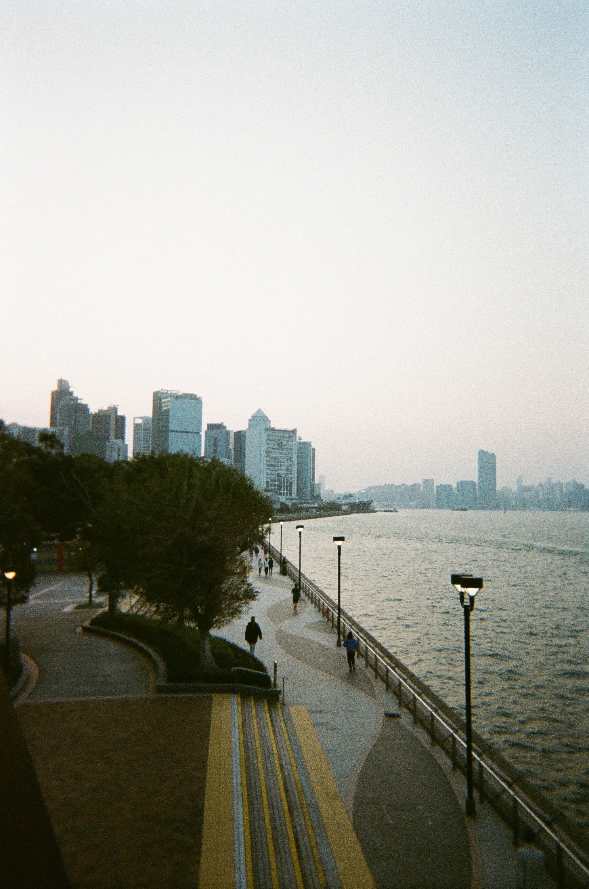 YASHICA Tek Kullanımlık Analog Kamera